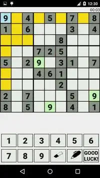 Sudoku Extreme Screen Shot 2