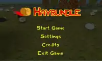 Haybundle (beta) Screen Shot 5