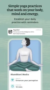 Sadhguru: Yoga und Meditation Screen Shot 4