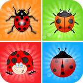 Bug Matching Games