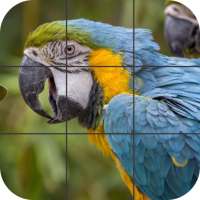 Puzzle Di Uccelli