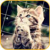 Cute Cats Jigsaw Puzzles