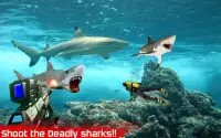 Shark Survival Shooter Screen Shot 0