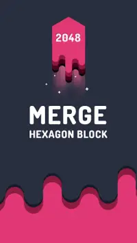 Merge Hexagon Block - Shoot 2048 Hexa Puzzle Screen Shot 4
