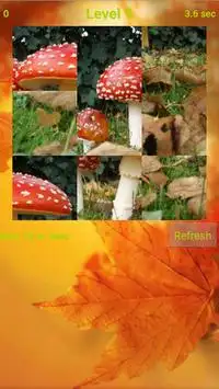 Mushrooms Puzzle Screen Shot 0