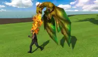 Flying Dragon Mania Simulação Screen Shot 19