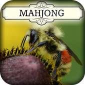 Hidden Mahjong: My Little Bees