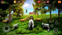 aslan oyunu: kaplan Simülatörü Screen Shot 1