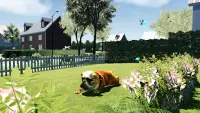 Simulateur de chien de taureau Screen Shot 0