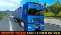 Master American Truck Drive Simulator 2020 Screen Shot 2