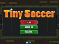 Tiny Soccer Screen Shot 5