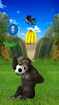 Monyet bercakap sebenar Screen Shot 3