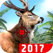 Jungle Deer Hunting Game: 2017