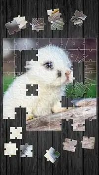 Animali Svegli Gioco di Puzzle Screen Shot 3