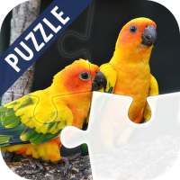 Puzzle with birds