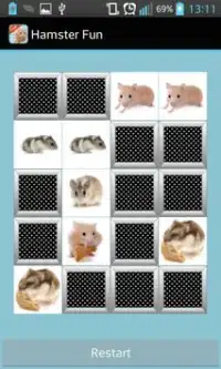 Hamster Games Screen Shot 4