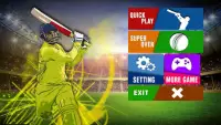 T20 Cricket Cup 2018 Screen Shot 1