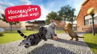 Симулятор Кошки Screen Shot 6