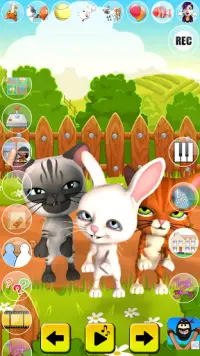 Talking Cat and Bunny Screen Shot 2