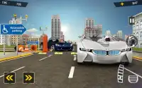Stickman Car Drive and Parking Simulator Screen Shot 1