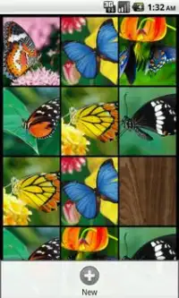 Memory (Butterflies) Screen Shot 1