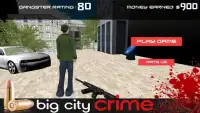 Big city crime Screen Shot 0