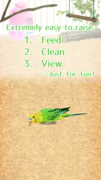 Parakeet Pet Screen Shot 4
