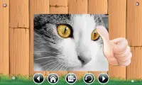 Cat Jigsaw Puzzles for Kids Screen Shot 4