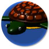 Turtle Drift