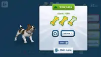 Dog Bite Prevention Strategy Screen Shot 3
