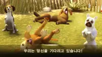 DogHotel – 강아지와 놀기, 사육장 관리 Screen Shot 2