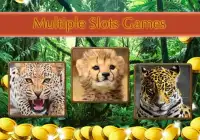 Angry Cheetah Slot Wild Pokies Screen Shot 4