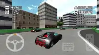 Racing Driving 3D Simulator Screen Shot 1