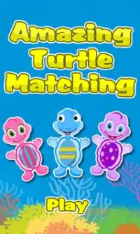 Matching Game-Amazing Turtles Screen Shot 0