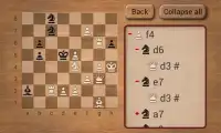 Chess Puzzles L Screen Shot 2