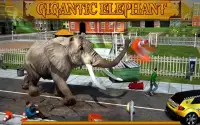 Angry Elephant Attack 3D Screen Shot 5