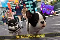 🐕 Puppy Dog in the City Screen Shot 0