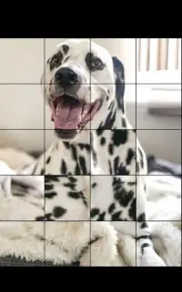 Cute Puppy Dog relaxing rotation puzzles Screen Shot 5