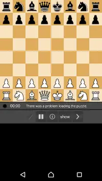 Chess Pro Screen Shot 3
