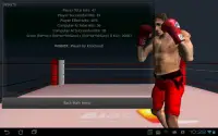 Boxing Game Screen Shot 3