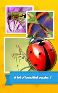 Insect Life Jigsaw Puzzle Game Screen Shot 2