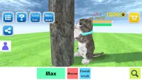 Cat Simulator Screen Shot 2