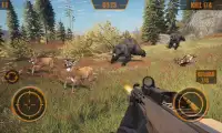 Animal Hunter Forest Sniper Shoot 3D Screen Shot 2