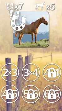 Horse Puzzles Collection Screen Shot 6