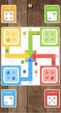 Indian Ludo Game Screen Shot 1