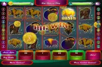 Wild Buffalo Casino Slots FREE Screen Shot 2