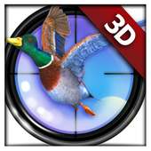 Duck Shooting: Shotgun Hunter