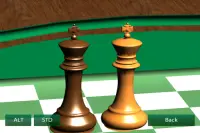 Master Chess Screen Shot 0