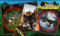 Sniper shooting Jungle Wolf Screen Shot 4