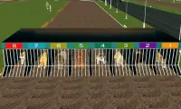 lion sauvage, chien, course d'animaux tigres Screen Shot 4